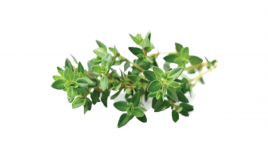 Simply Fresh Thyme-LH   Box  100 grams